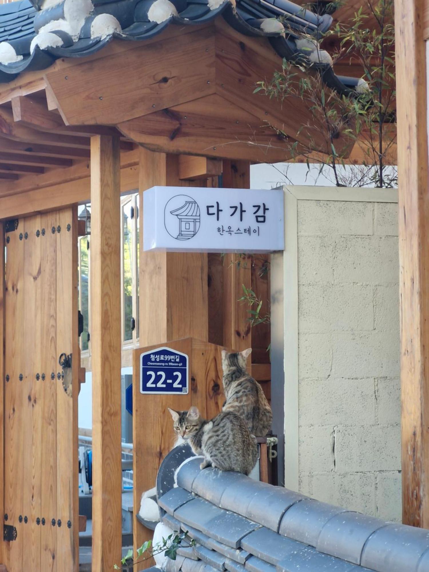 Hanok Stay Da-Ga-Gam Γκιονγκγού Εξωτερικό φωτογραφία